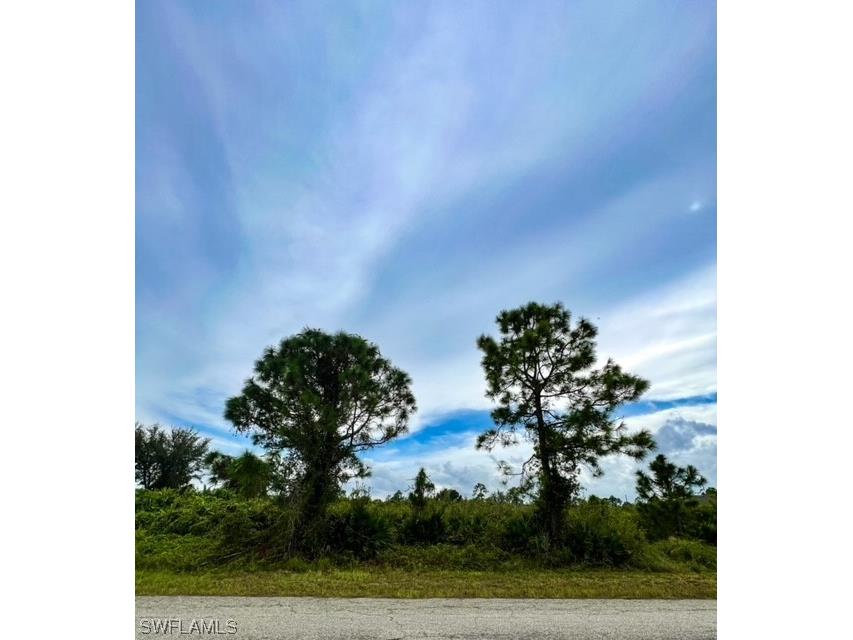 1004 E 9th Street Lehigh Acres FL 33972 223075383 image1