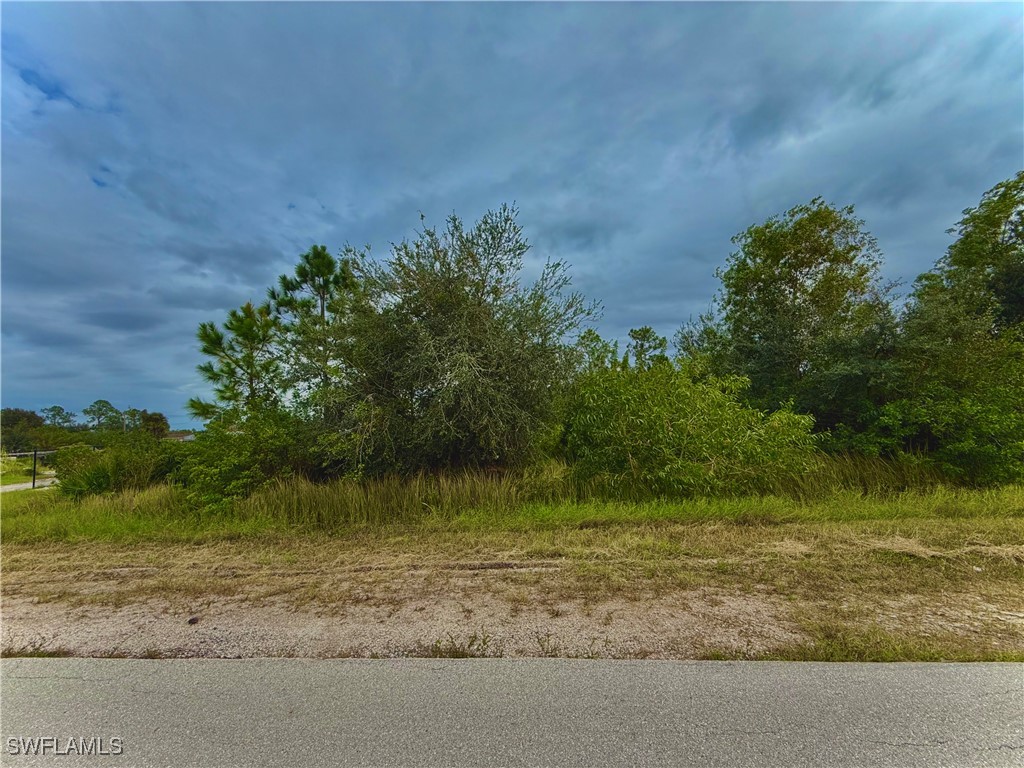 1004 Edward Avenue Lehigh Acres FL 33936 224084322 image1