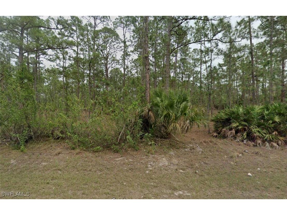 1004 Lincoln Avenue Lehigh Acres FL 33972 225029563 image1