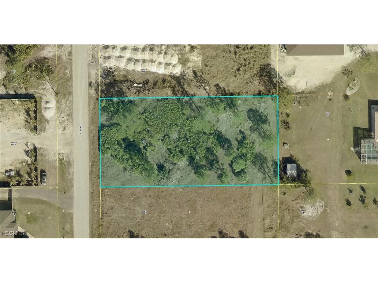 1004 Pine Avenue Lehigh Acres FL 33972 2025011672 image1