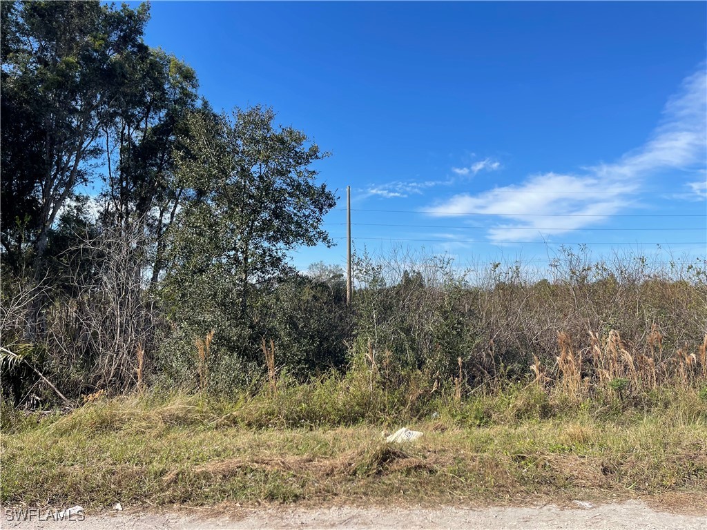 1004 Portland Avenue S Lehigh Acres FL 33974 224103618 image1