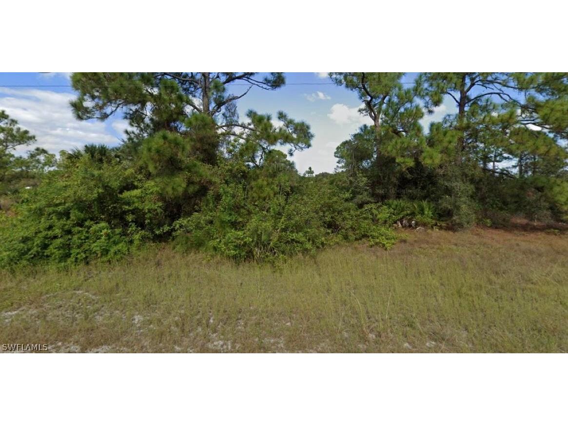 1004 W 18th Street Lehigh Acres FL 33972 222033992 image1