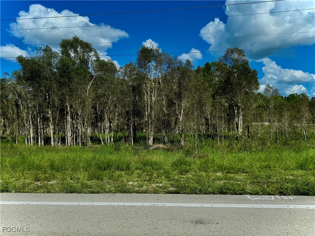 1005/1007 Homestead Road S Lehigh Acres FL 33974 2025010252 image1