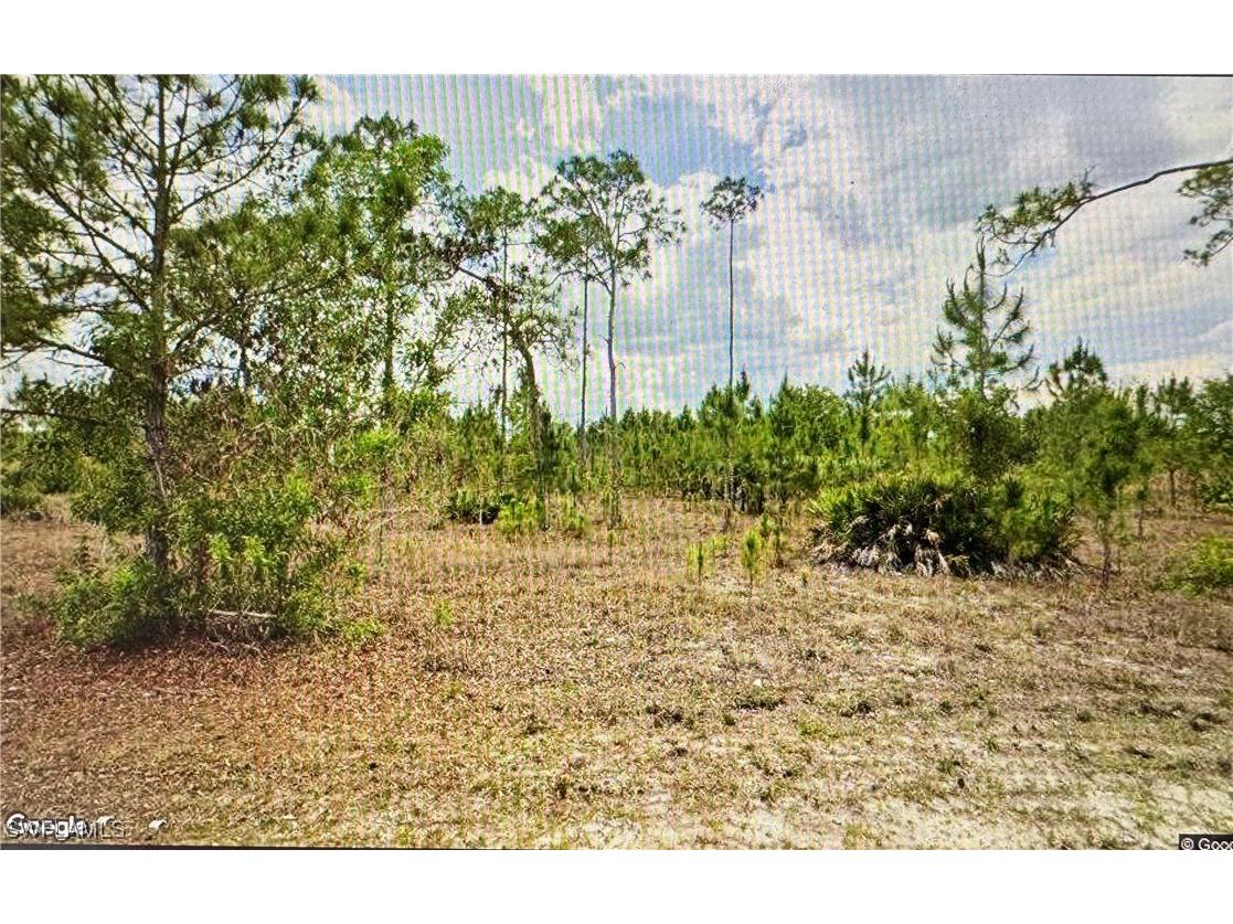 1005 Hamilton Avenue Lehigh Acres FL 33972 225034407 image3