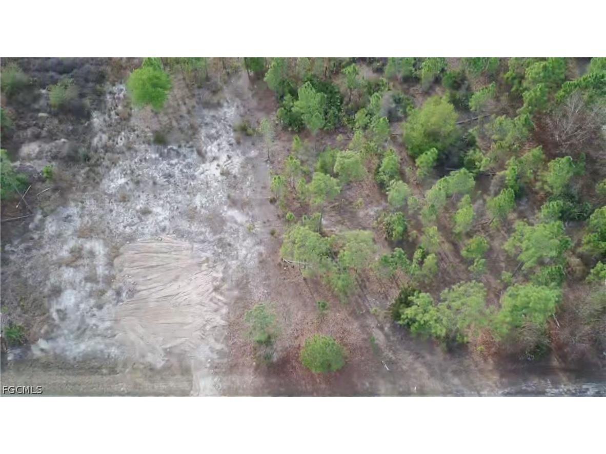 1005 Hamilton Avenue Lehigh Acres FL 33972 225034407 image5