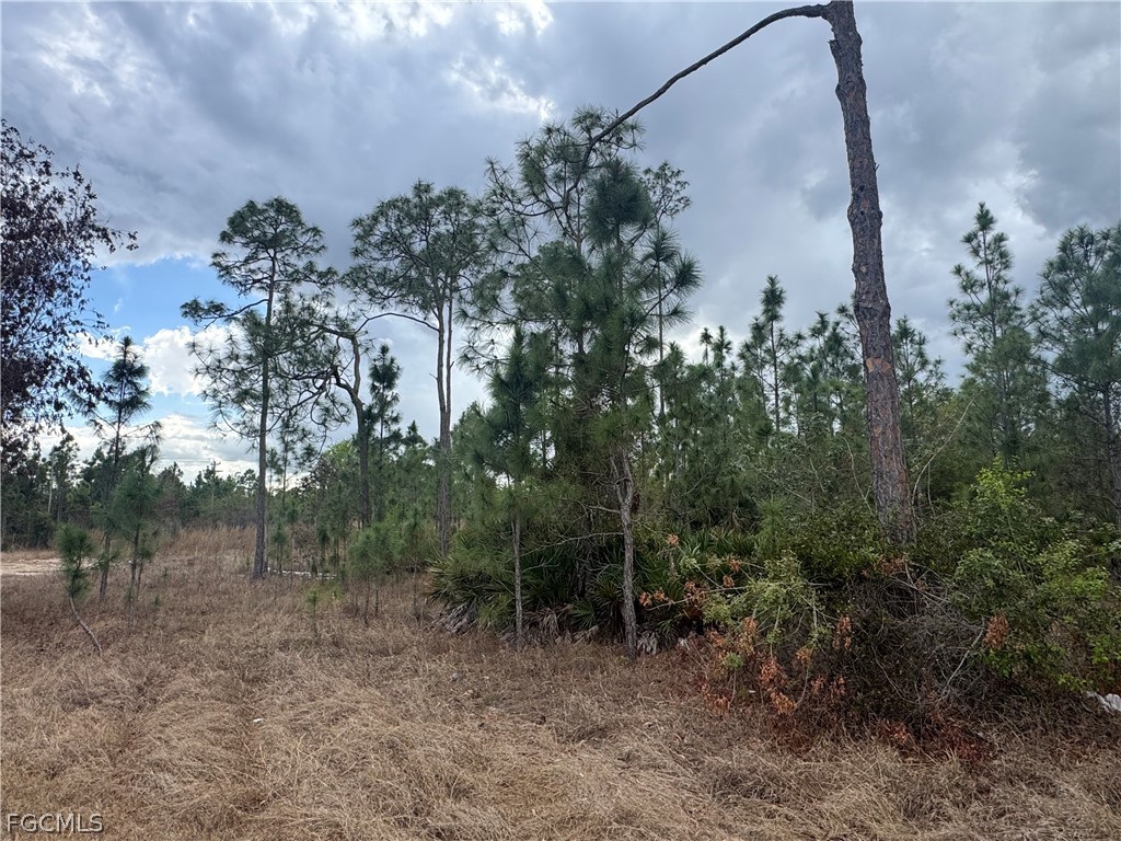 1005 Hamilton Avenue Lehigh Acres FL 33972 225034407 image6