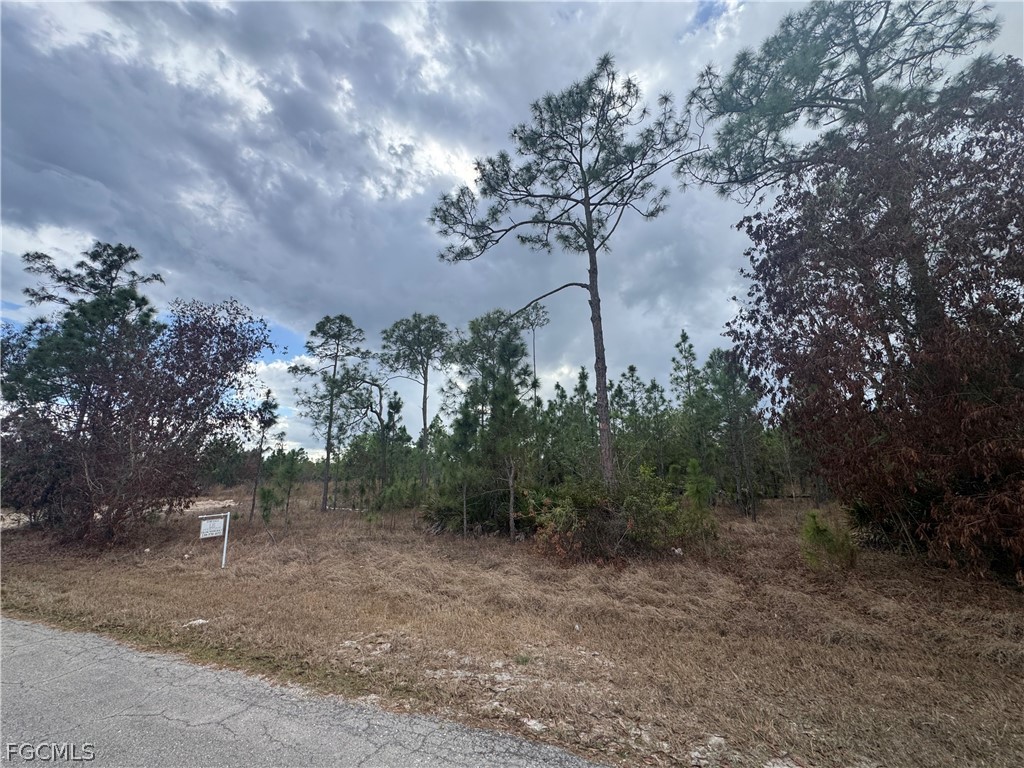 1005 Hamilton Avenue Lehigh Acres FL 33972 225034407 image7