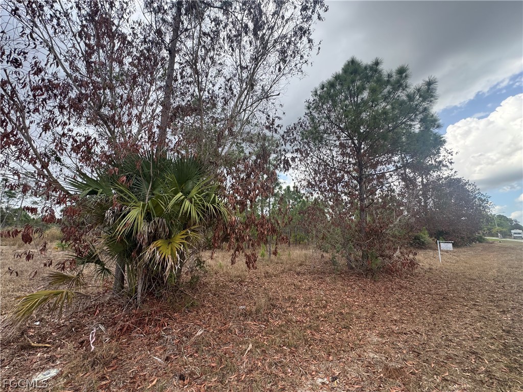 1005 Hamilton Avenue Lehigh Acres FL 33972 225034407 image8