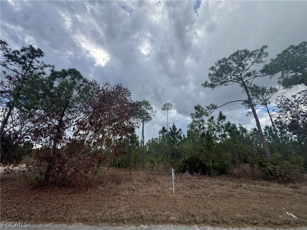 1005 Hamilton Avenue Lehigh Acres FL 33972 225034407 image9