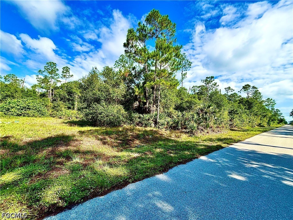 1005 Irving Avenue Lehigh Acres FL 33972 2026026017 image2