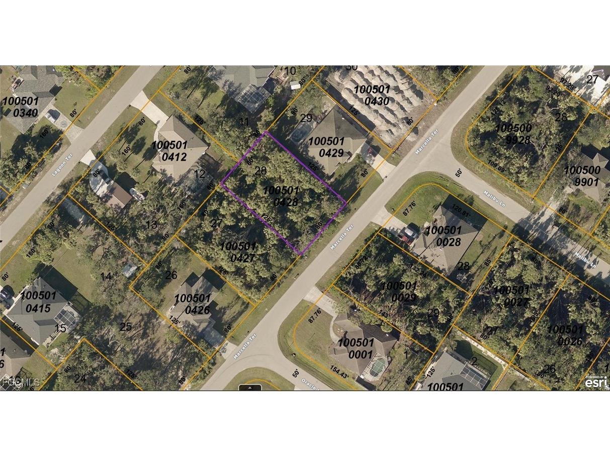 1005010428 Marcella Terrace North Port FL 34286 2025010502 image1