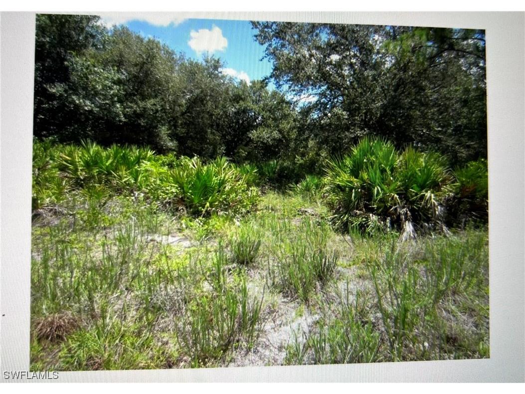 1006 Abbott Avenue Lehigh Acres FL 33972 224021782 image1