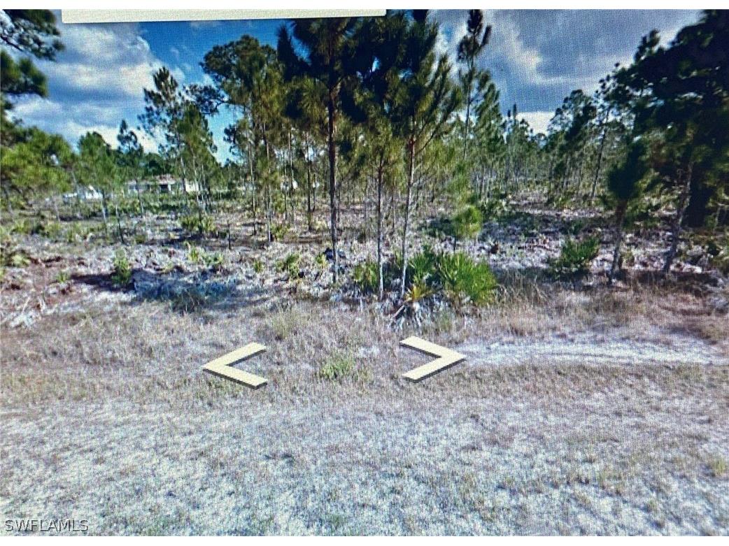 1006 Congress Avenue Lehigh Acres FL 33972 222003188 image1