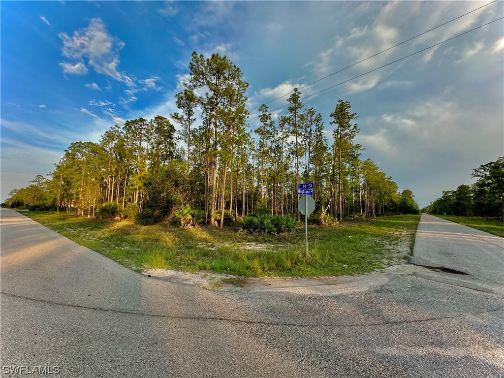 1006 E 14th Street Lehigh Acres FL 33972 223048571 image1