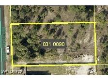 1006 Michael Avenue Lehigh Acres FL 33936 225022514 image1