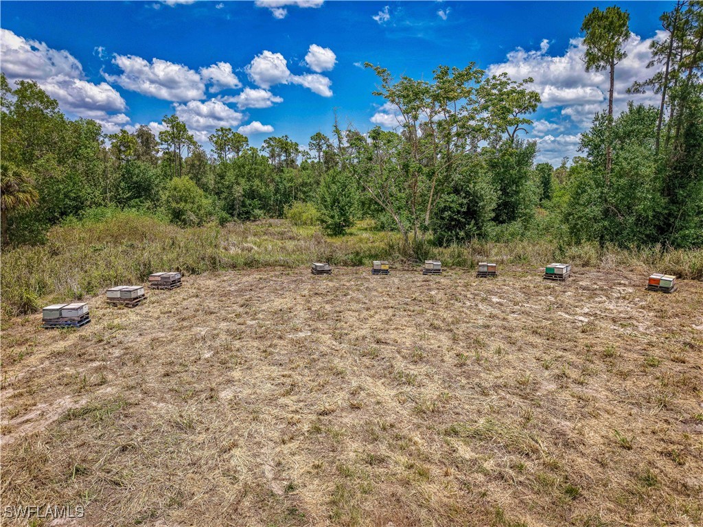 10061 Deal Road North Fort Myers FL 33917 225049863 image10