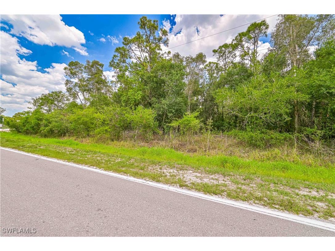 10061 Deal Road North Fort Myers FL 33917 225049863 image11