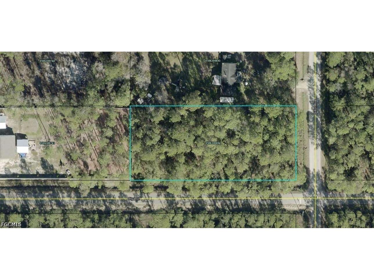 10065 Dillon Hastings FL 32145 2026018920 image1