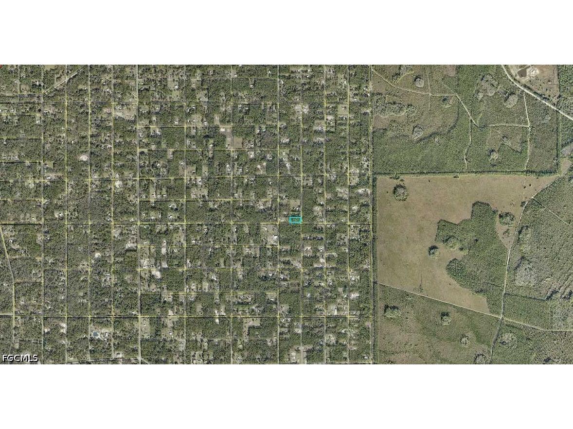 10065 Dillon Hastings FL 32145 2026018920 image3
