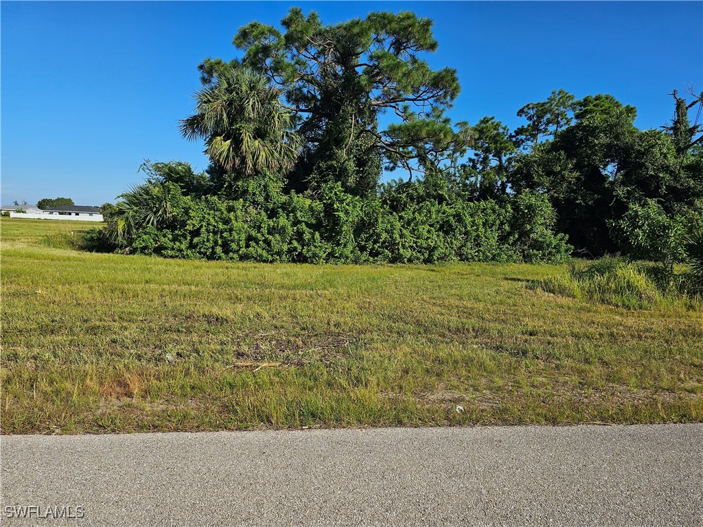 1007 Ceitus Terrace Cape Coral FL 33991 224079809 image1