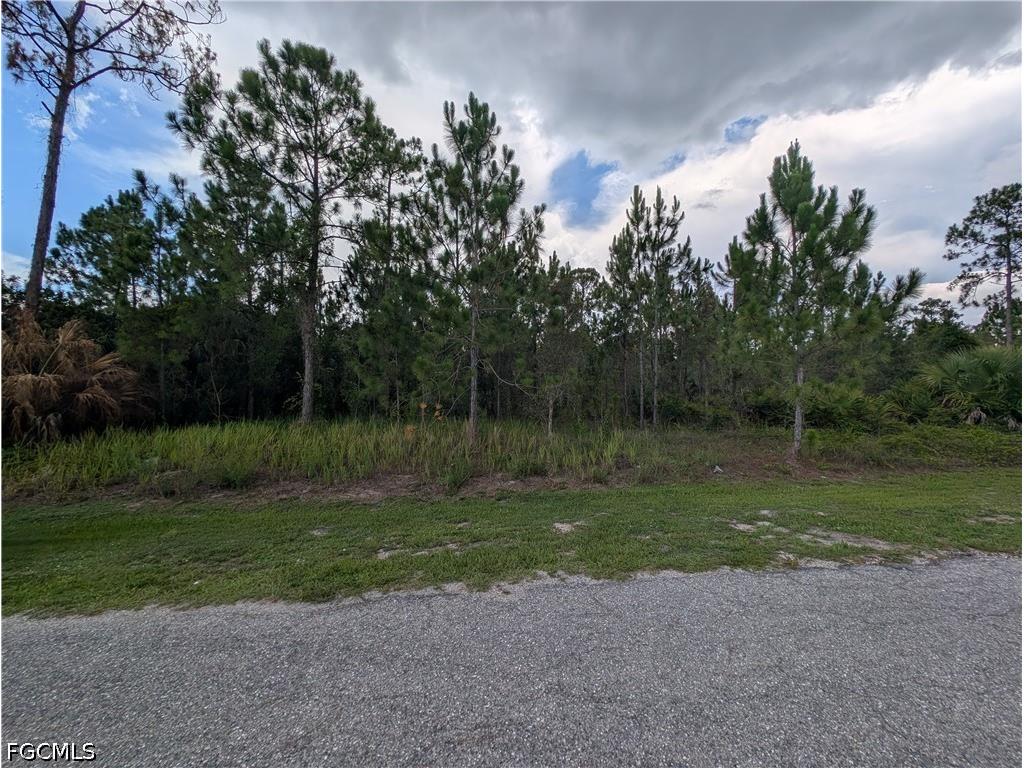 1007 Cleveland Avenue Lehigh Acres FL 33972 2026028393 image1