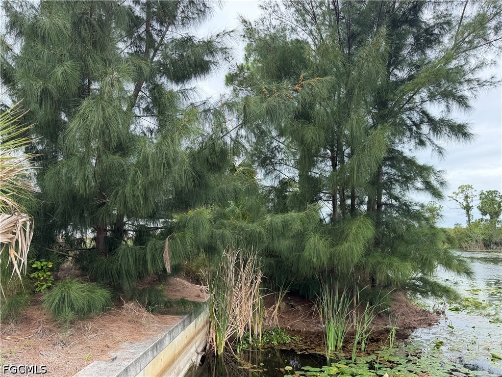 1007 NE 37th Terrace Cape Coral FL 33909 2026024906 image3