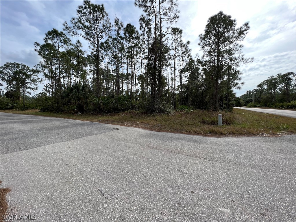 1007 W 11th Street Lehigh Acres FL 33972 223004915 image1