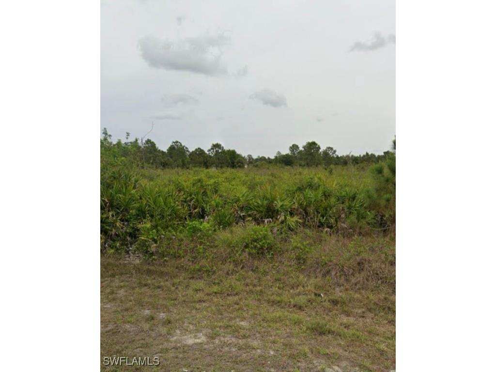 1008 Calvin Avenue Lehigh Acres FL 33972 224076639 image1
