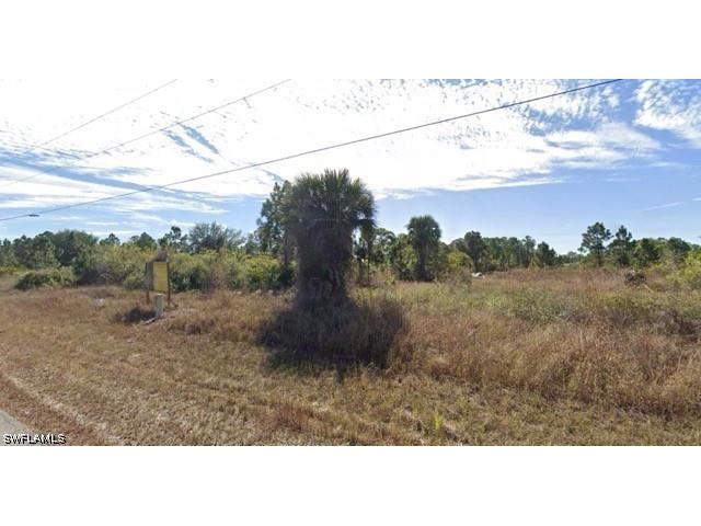 1008 Kanuga Street E Lehigh Acres FL 33974 226023116 image2