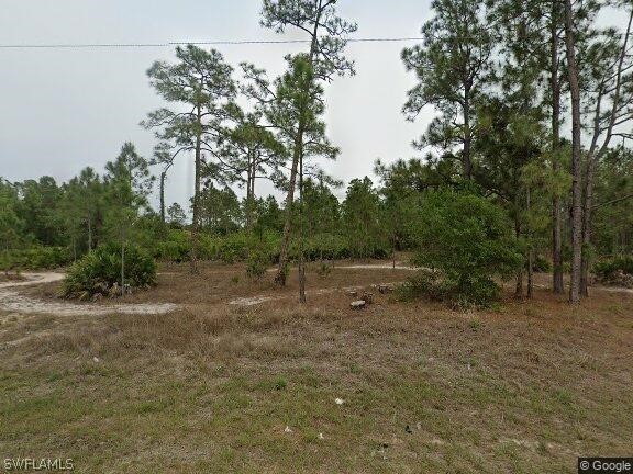 1008 Lincoln Avenue Lehigh Acres FL 33972 223011077 image1