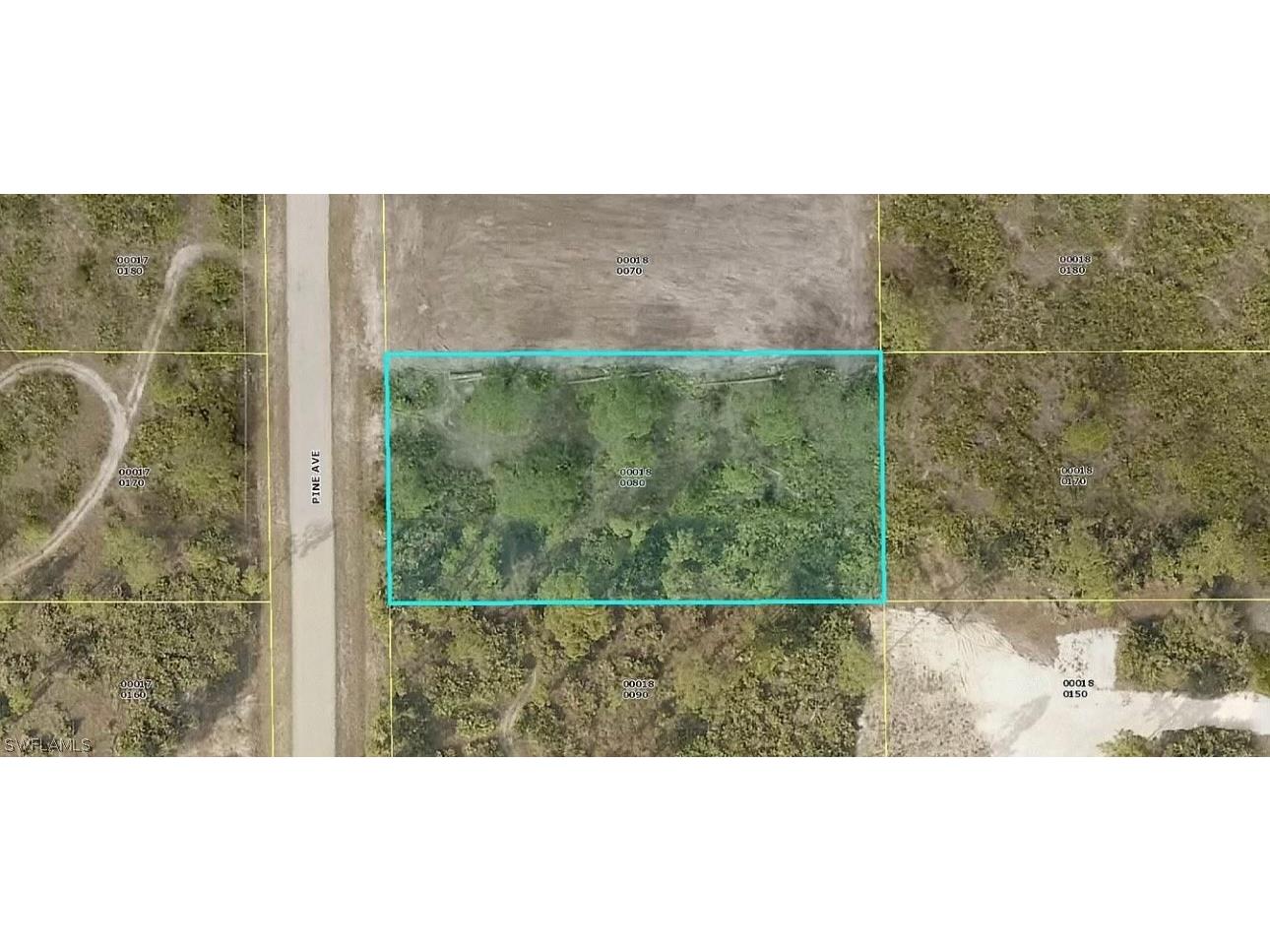 1008 Pine Avenue Lehigh Acres FL 33972 224041822 image1