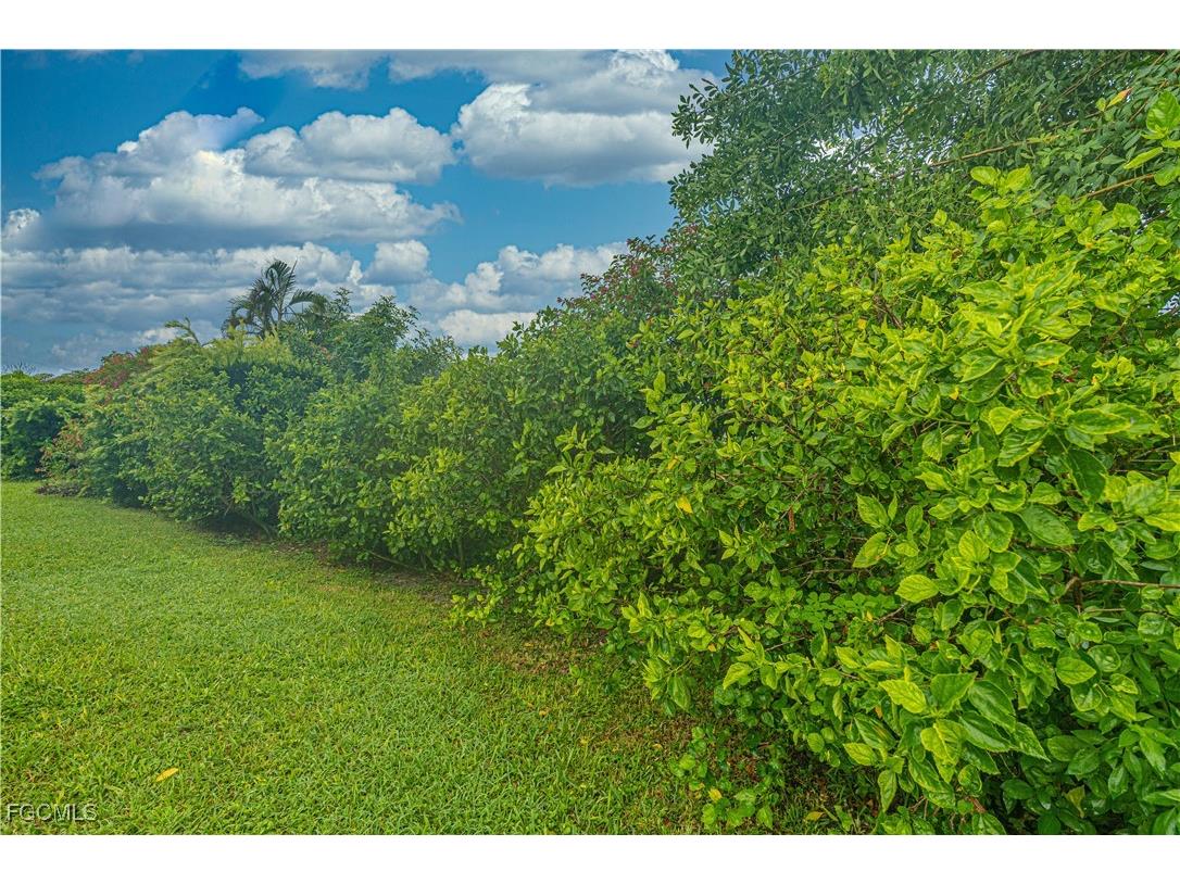 1008 SE 25th Terrace Cape Coral FL 33904 2025005238 image35