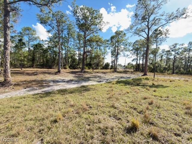 1008 Williams Avenue Lehigh Acres FL 33972 2026002306 image43