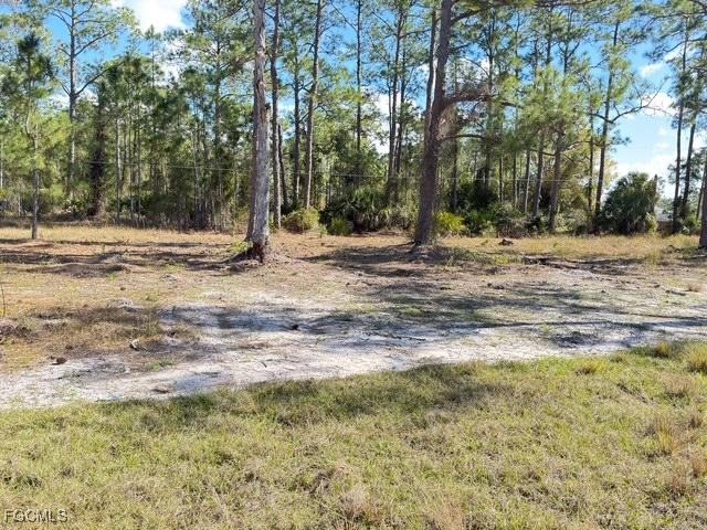 1008 Williams Avenue Lehigh Acres FL 33972 2026002306 image45