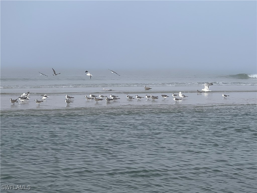 10082 Vanderbilt Drive Naples FL 34108 226002427 image49