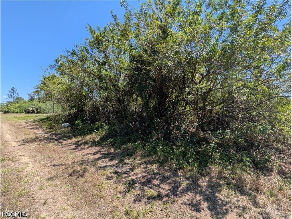 1009 Butler Street E Lehigh Acres FL 33974 2026016885 image3