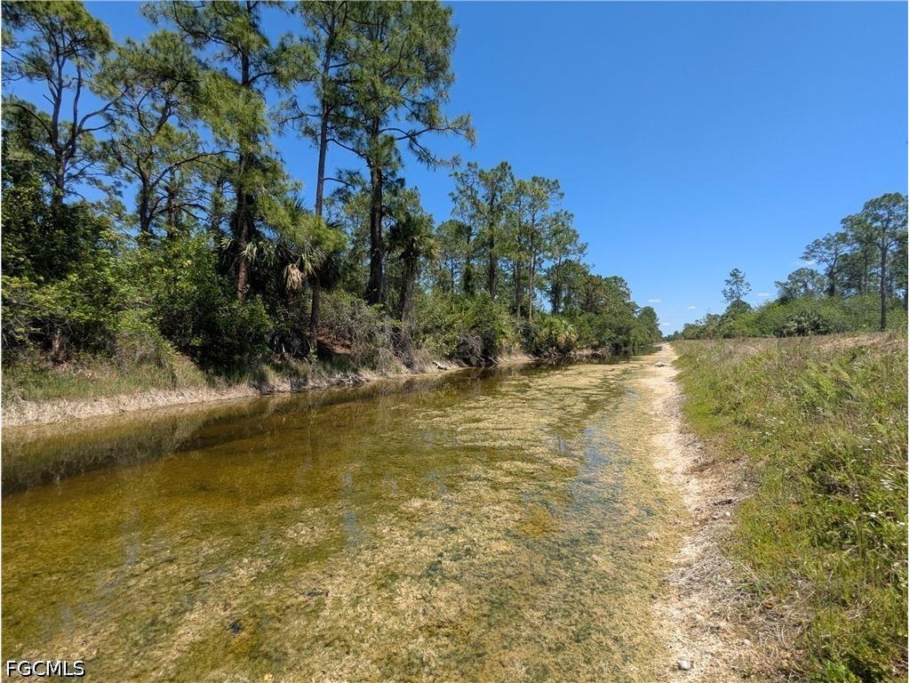 1009 Butler Street E Lehigh Acres FL 33974 2026016885 image4