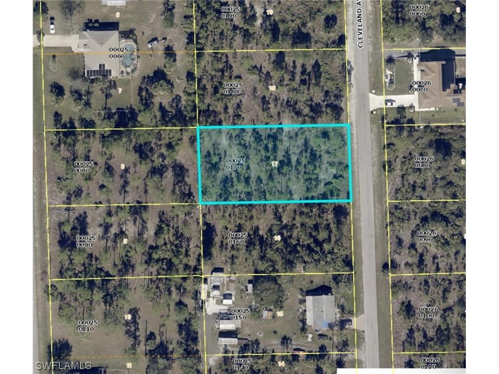 1009 Cleveland Avenue Lehigh Acres FL 33972 224018986 image1