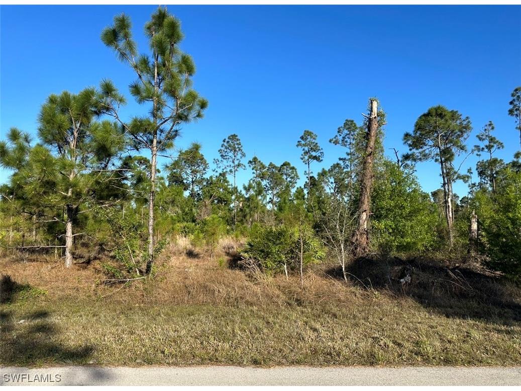 1009 Fayette Avenue Lehigh Acres FL 33974 223018193 image1