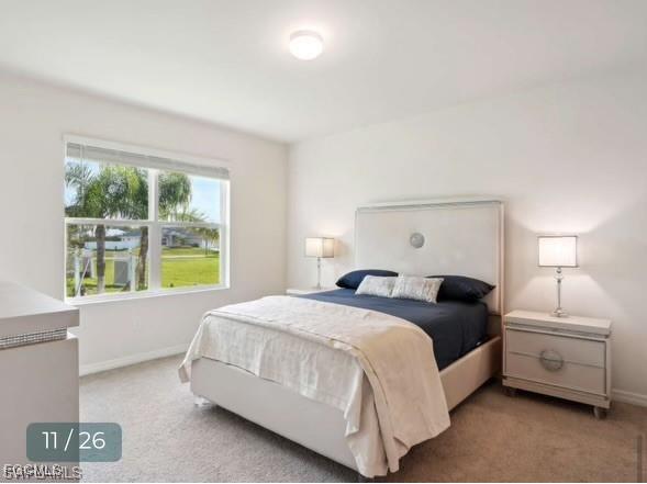 1009 Jacaranda Parkway E Cape Coral FL 33909 2025015624 image11