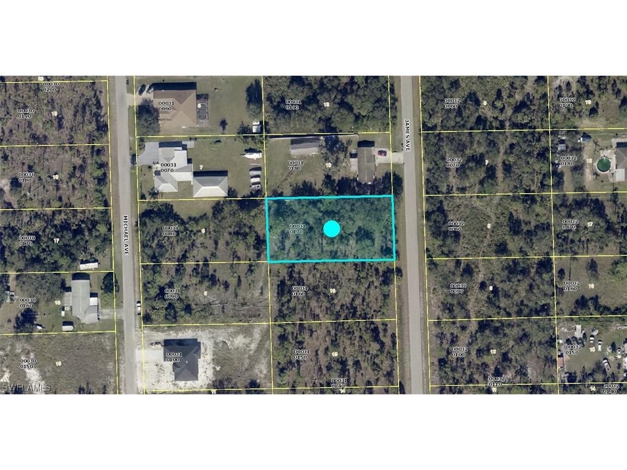 1009 James Avenue Lehigh Acres FL 33936 223048237 image1