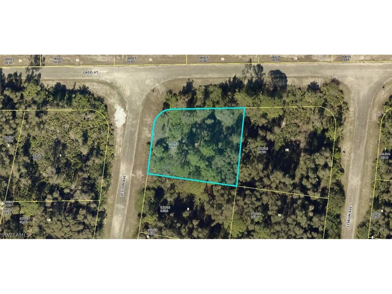 1009 Legion Avenue Lehigh Acres FL 33974 223007828 image1