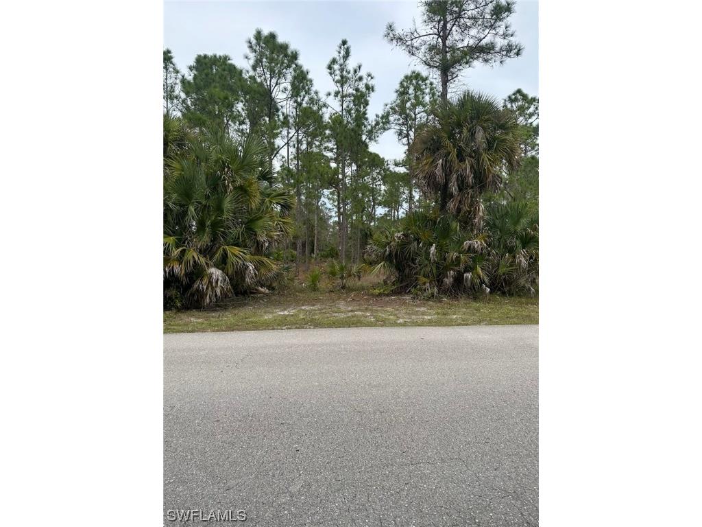 1009 Moore Avenue Lehigh Acres FL 33972 223090977 image1