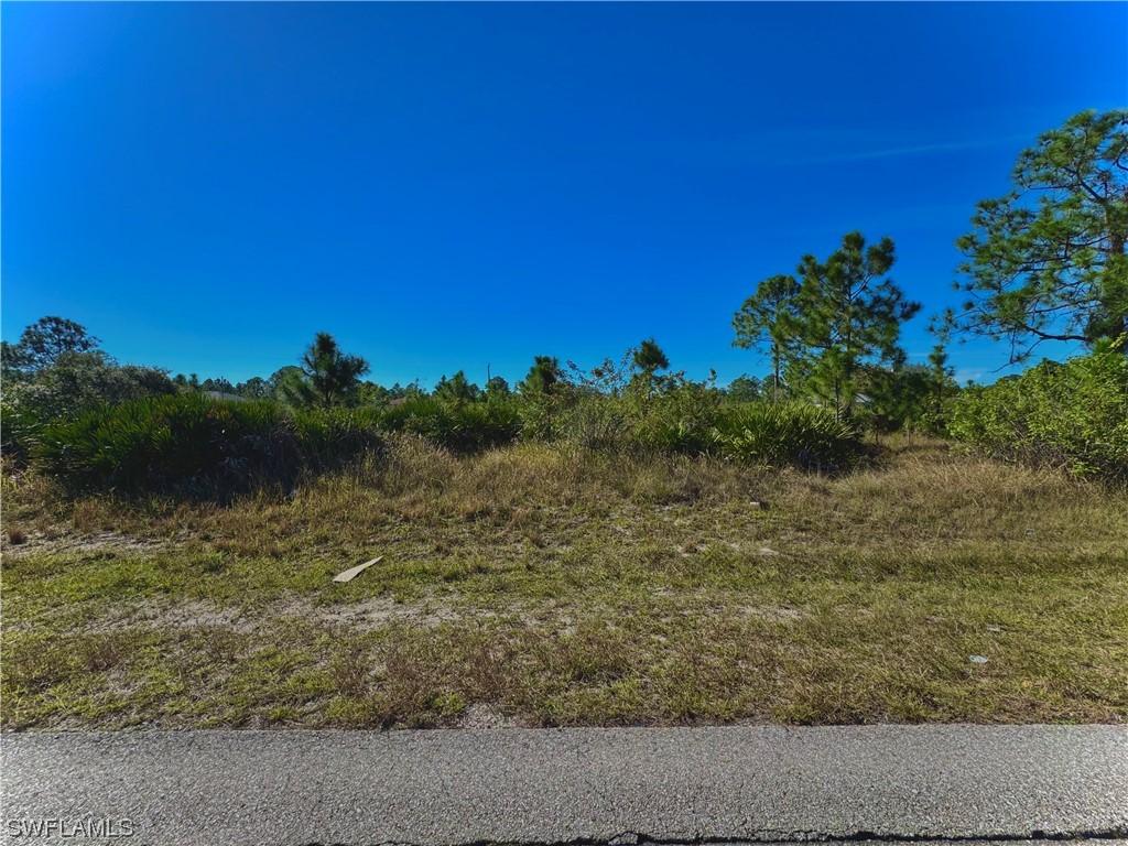 1009 Richmond Avenue N Lehigh Acres FL 33972 224006730 image1