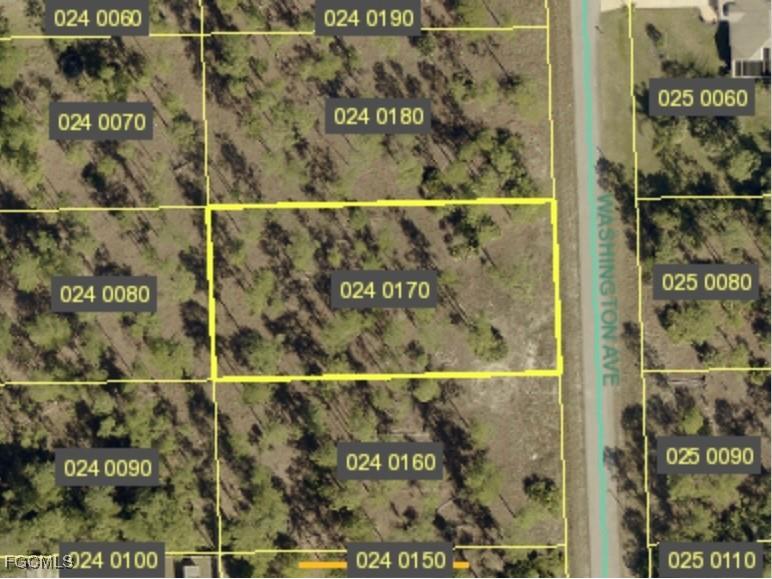 1009 Washington Avenue Lehigh Acres FL 33972 2026005949 image21