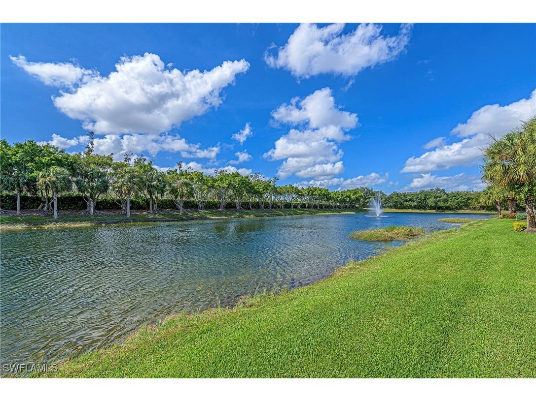 10090 Valiant Court #202 Miromar Lakes FL 33913 225067396 image19