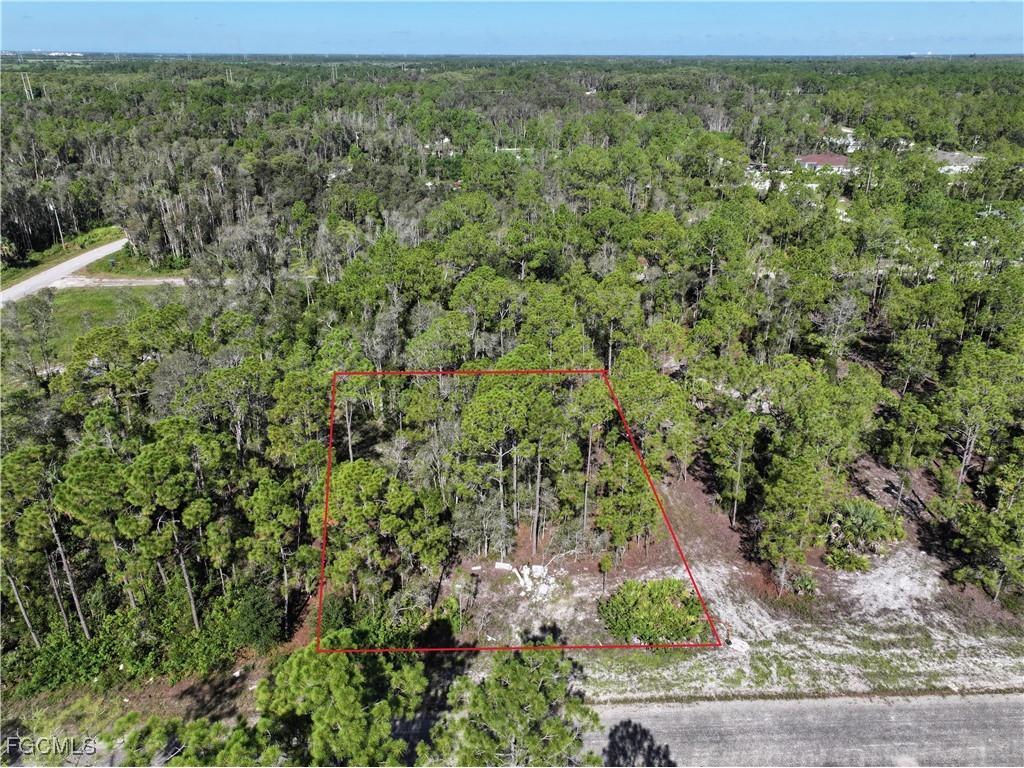 1010 Jernican Avenue Lehigh Acres FL 33974 2025009674 image2