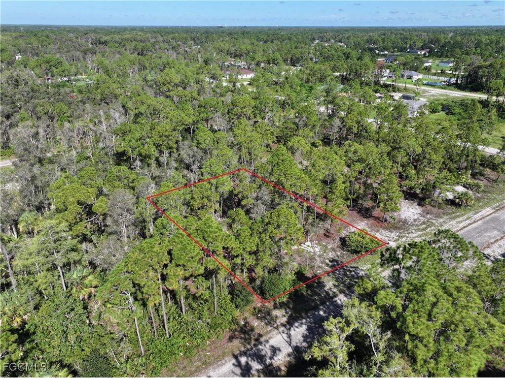 1010 Jernican Avenue Lehigh Acres FL 33974 2025009674 image3