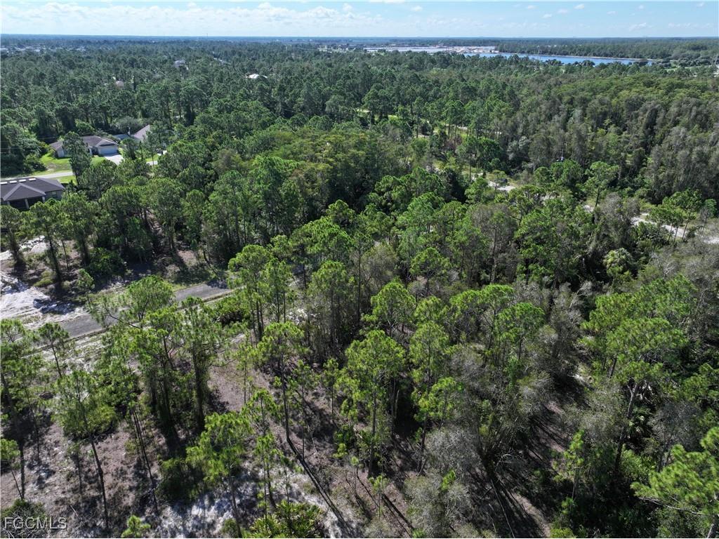 1010 Jernican Avenue Lehigh Acres FL 33974 2025009674 image6