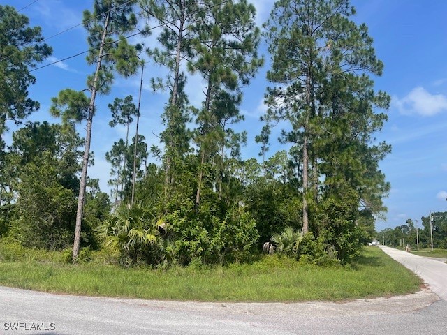 1010 Manikin Avenue S Lehigh Acres FL 33974 225062275 image1